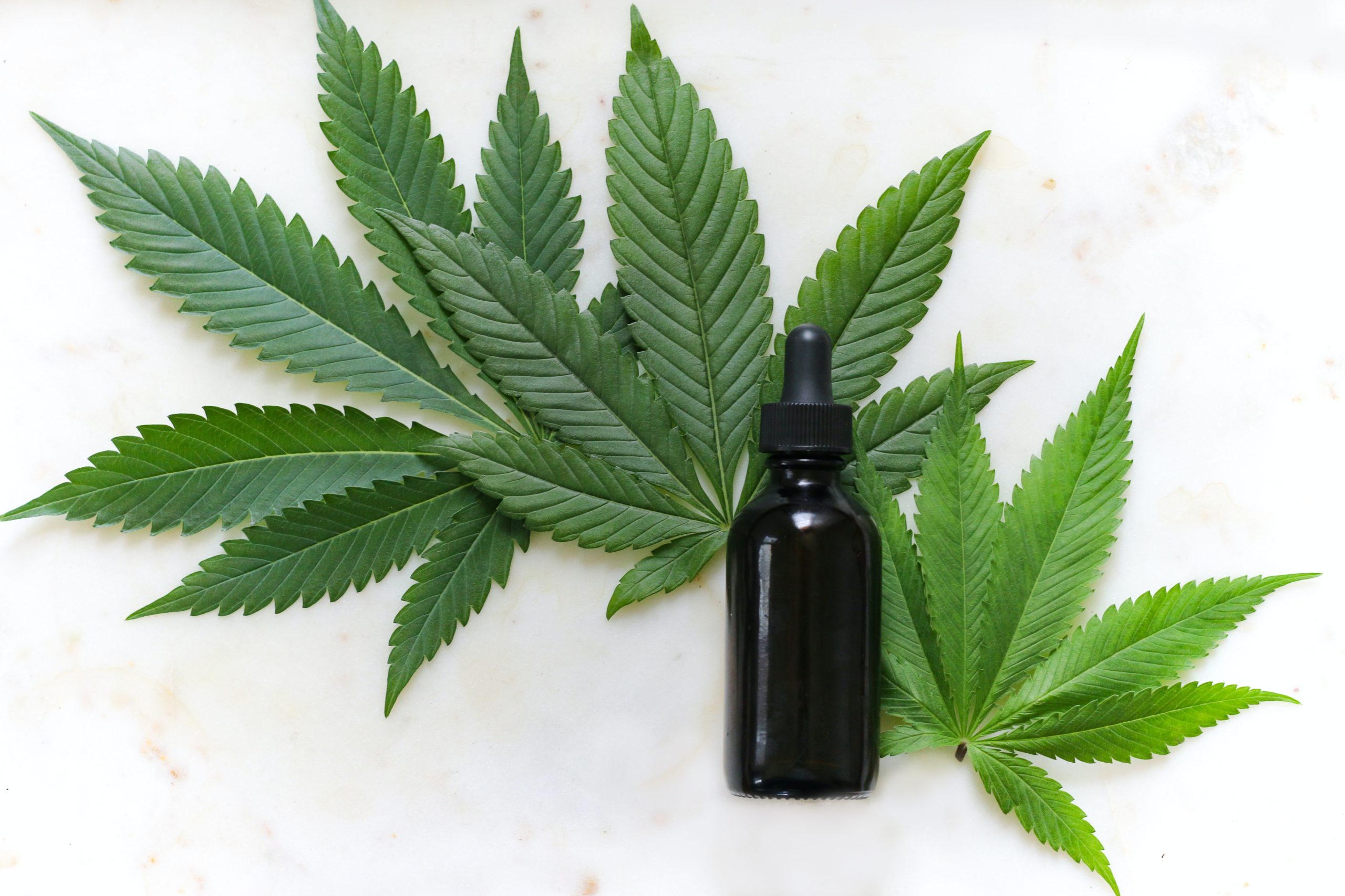 Cannabis for Lyme Symptoms